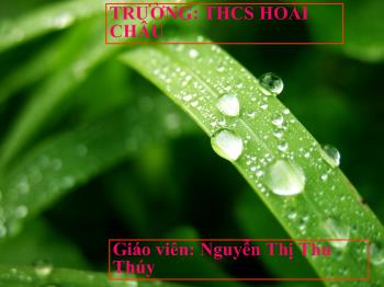 Bài giảng Công nghệ 7 - Nguyễn Thị Thu Thủy - Tiết 7, Bài 9: Cách sử dụng và bảo quản các loại phân bón thông thường