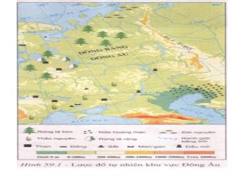 Bài giảng Địa lí 7 - Bài 59: Khu vực Đông Âu