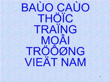 Báo cáo Thực trạng môi trường Việt Nam
