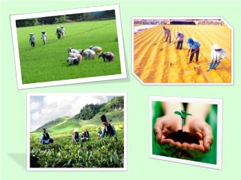 Bài giảng Địa lí 10 - Bài 28: Địa lí ngành trồng trọt