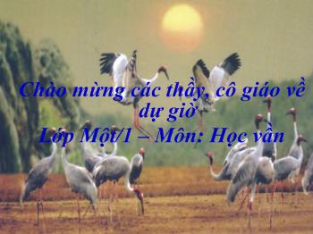 Bài giảng Tiếng Việt Lớp 1 - Nguyễn Thị Thúy Phượng - Bài 46: ôn - ơn
