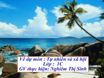 Bài giảng Tự nhiên và xã hội Lớp 1 - Nghiêm Thị Sinh - Bài 4: Bảo vệ mắt và tai