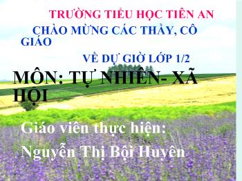 Bài giảng Tự nhiên - Xã hội Lớp 1 - Nguyễn Thị Bội Huyên - Con gà