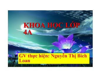 Bài giảng Khoa học Lớp 4 - Nguyễn Thị Bích Loan - Nguyên nhân làm nước bị ô nhiễm