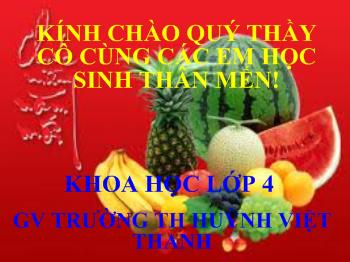 Bài giảng Khoa học Lớp 4 - Trường Thị Huỳnh Việt Thanh - Sự lan truyền âm thanh