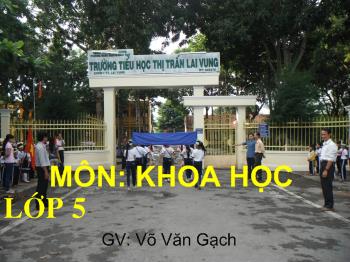 Bài giảng Môn Khoa học Bài 19: Phòng tránh tai nạn giao thông đường bộ