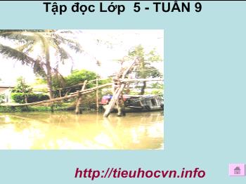 Bài giảng Môn tập đọc lớp 5 tuần 9: Đất Cà Mau