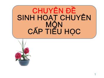 Chuyên đề Đổi mới về sinh hoạt chuyên môn