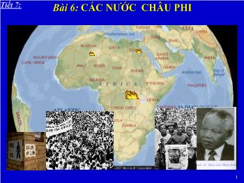 Bài giảng Môn Lịch sử lớp 8 - Bài 6: Các nước châu Phi