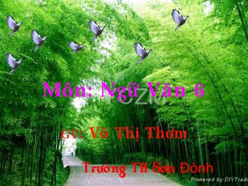 Bài giảng Môn Ngữ văn lớp 6 - Bài Cây tre Việt Nam (tiếp theo)
