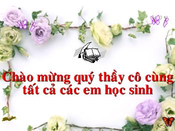 Bài giảng Môn Toán lớp 6 - Phân số bằng nhau