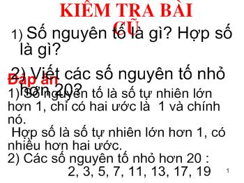 Bài giảng Môn Toán lớp 6 - Phân tích một số ra thừa số nguyên tố (tiếp)