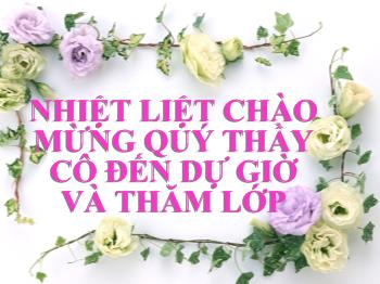 Bài giảng Môn Toán lớp 6 - Tia phân giác của góc (tiếp)