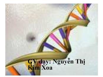 Tiết 16. Bài 16: ADN và bản chất của gen