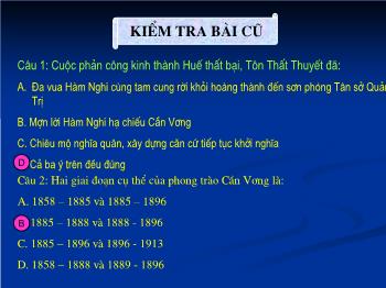 Bài giảng Lịch sử Lớp 11 - Bài 21: Phong trào yêu nước chống Pháp của nhân dân Việt Nam trong những năm cuối thế kỉ XIX