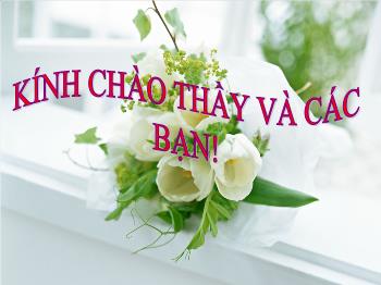 Bài giảng Vật lý 10 - Bài 4: Sự rơi tự do - Nguyễn Thị Việt Trinh