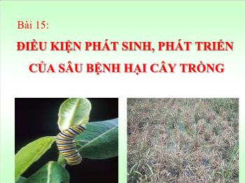 Bài giảng Công nghệ 10 - Bài 15: Điều kiện phát sinh, phát triển của sâu bệnh hại cây trồng