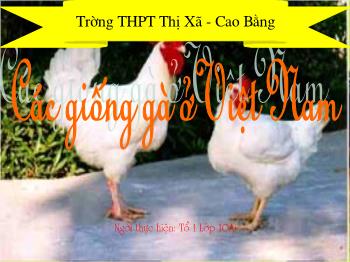 Bài giảng Công nghệ 10 - Các giống gà Việt Nam - Trường THPT thị xã Cao Bằng
