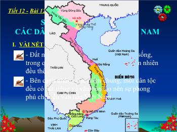 Bài giảng Mĩ thuật 9 - Tiết 12, Bài 12: Thường thức mỹ thuật Sơ lược về mĩ thuật các dân tộc ít người ở Việt Nam