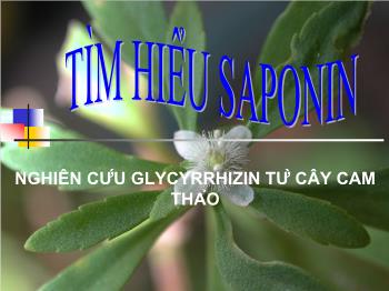 Bài giảng Tìm hiểu saponin