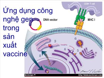 Bài giảng Ứng dụng công nghệ gen trong sản xuất vaccine