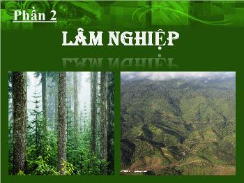 Bài giảng Bài 22: ai trò của rừng và nhiệm vụ trồng rừng (tiếp theo)