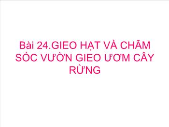 Bài giảng Bài 24: Gieo hạt và chăm sóc vườn gieo ươm cây rừng (tiếp)