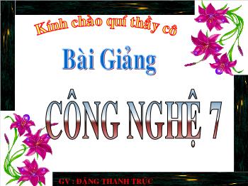 Bài giảng Công nghệ lớp 7 - Bài 19- Tiết 15: Các biện pháp chăm sóc cây trồng