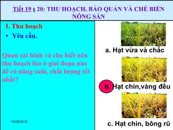 Bài giảng Tiết 19 - Bài 20: Thu hoạch, bảo quản và chế biến nông sản (tiết 2)