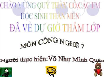 Bài giảng Tiết 26: Trồng cây rừng