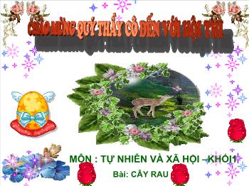 Bài giảng Môn tự nhiên và xã hội: Cây rau