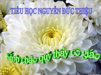 Bài giảng Mỹ thuật 2: Vẽ theo mẫu: Cái cốc