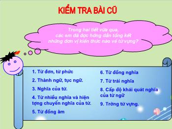 Bài giảng Ngữ văn: Bài 10 -Tiết 49 - tiếng việt: Tổng kết về từ vựng