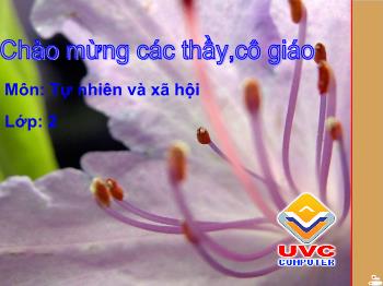 Bài giảng Tự nhiên và xã hội: Gia đình