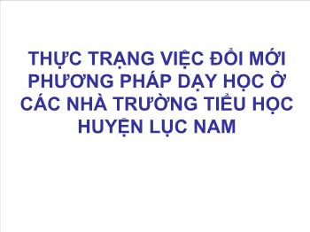 Chuyên đề Thực trạng việc đổi mới phương pháp dạy học ở các nhà trường tiểu học huyện lục nam