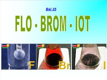 Bài giảng Bài 25: Flo - Brom - iot (tiết 3)