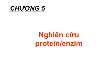 Bài giảng Chương 5: Nghiên cứu protein/enzim