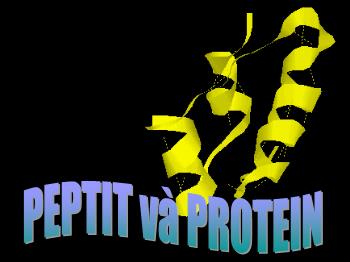 Bài giảng Peptit và protein (tiết 1)