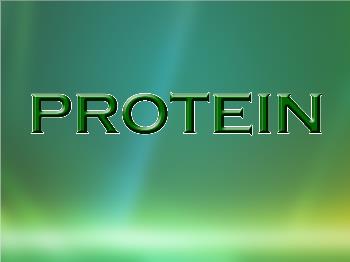 Bài giảng Protein (tiết 5)
