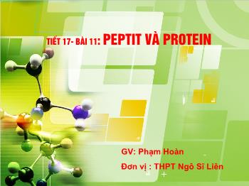 Bài giảng Tiết 17 - Bài 11: Peptit và protein