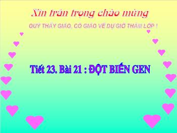 Bài giảng Tiết 23 - Bài 21 : Đột biến gen (tiếp theo)