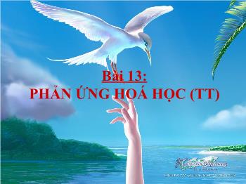 Bài giảng Bài 13: Phản ứng hoá học (tiết 55)