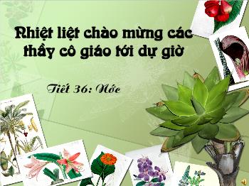 Bài giảng Bài 36: Nước (tiết 42)