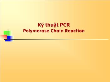 Bài giảng Kỹ thuật PCR Polymerase Chain Reaction