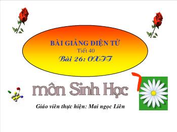 Bài giảng Tiết 40 - Bài 26: Oxit (tiết 8)