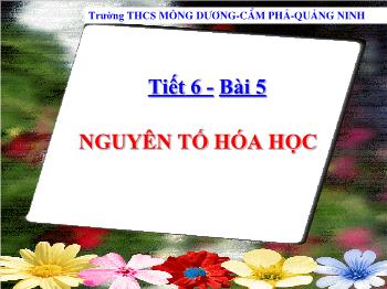 Bài giảng Tiết 6 - Bài 5: Nguyên tố hóa học (tiếp theo)