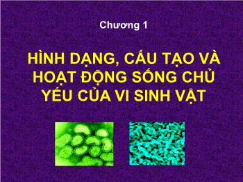 Bài giảng môn Sinh học - Bài 1: Vi sinh vật chưa có cấu trúc tế bào virus