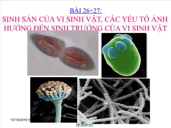 Bài giảng môn Sinh học - Bài 26+27: Sinh sản của vi sinh vật, các yếu tố ảnh hưởng đến sinh trưởng của vi sinh vật
