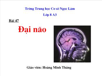 Bài giảng môn Sinh học - Bài 47: Đại não