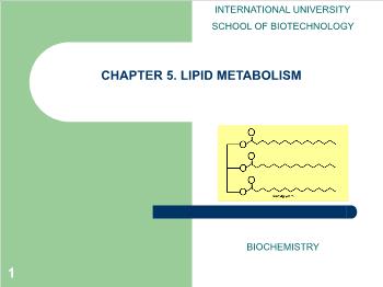 Bài giảng môn Sinh học - Chapter 5: Lipid metabolism